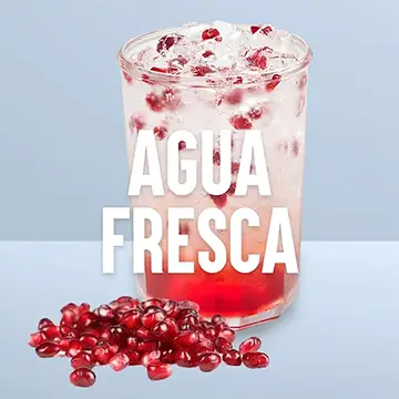 Botrista DrinkBot Agua Fresca